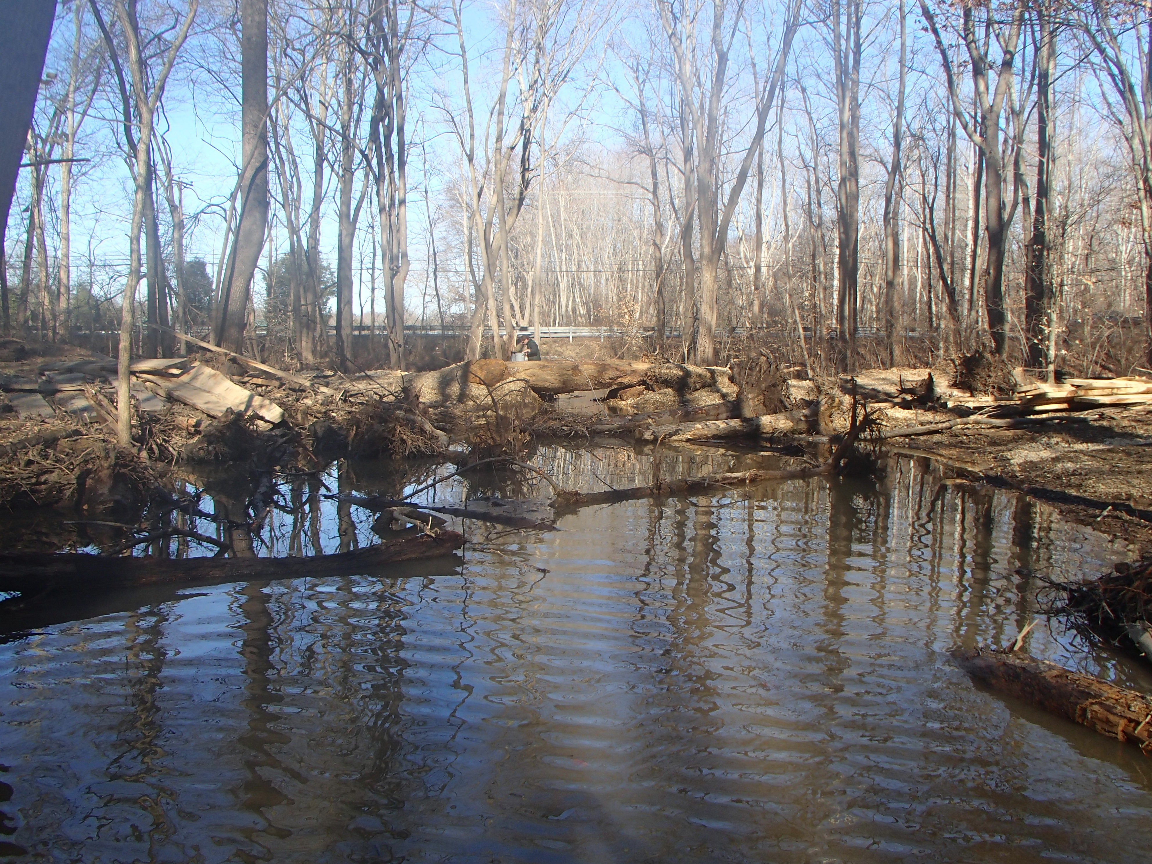Field photo showing stream conditions at site WEST-103-X-2016_midpoint looking upstream